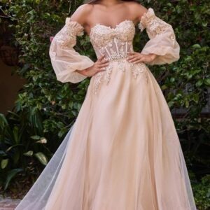 Prom dress CD948