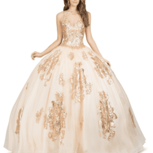 Quinceañera dress 8713