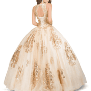 Quinceañera dress 8713