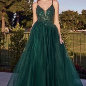 Prom dress CD0154