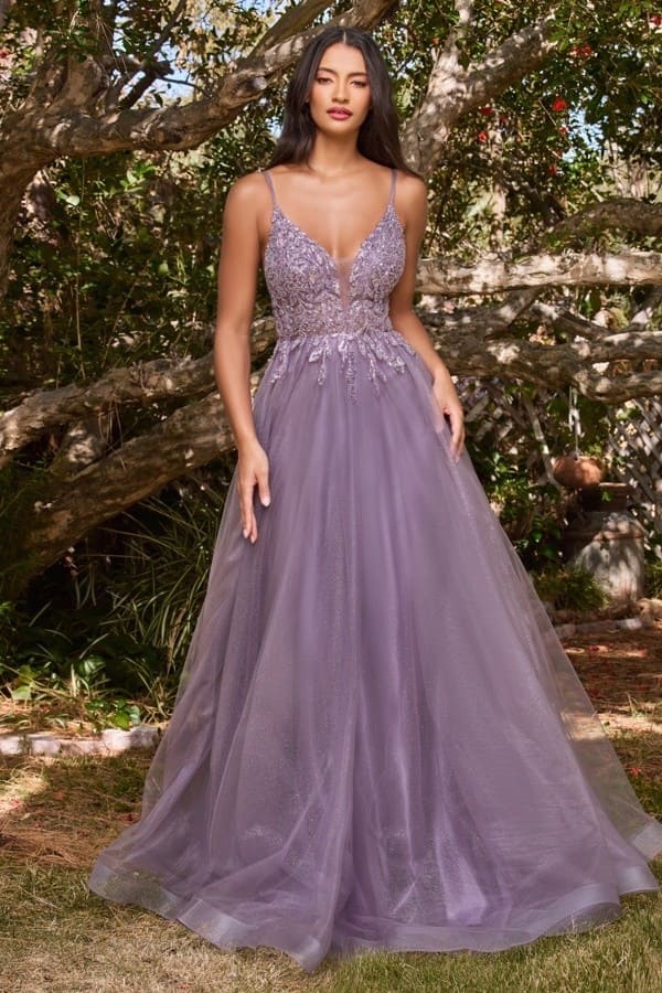 Prom dress CD0154