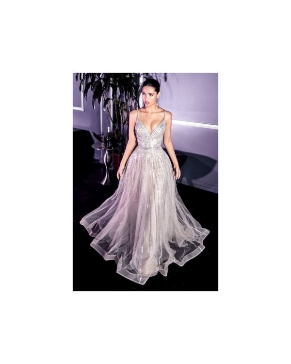 Prom dress CD940