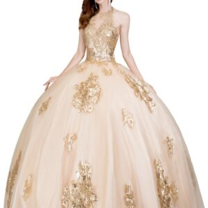 Quinceanera dress 6623A