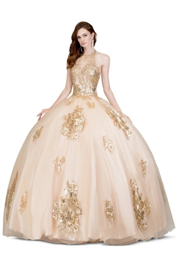 Quinceanera dress 6623A