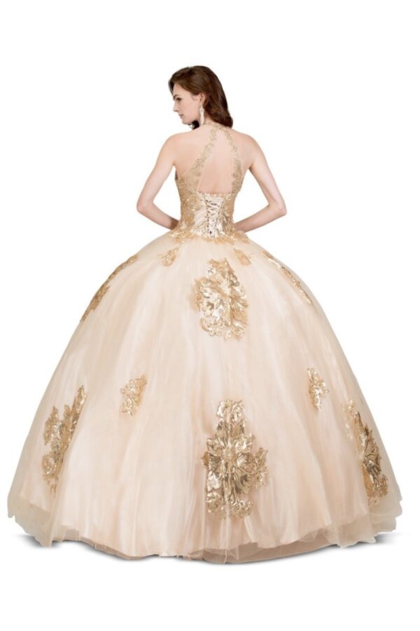 Quinceanera dress 6623A