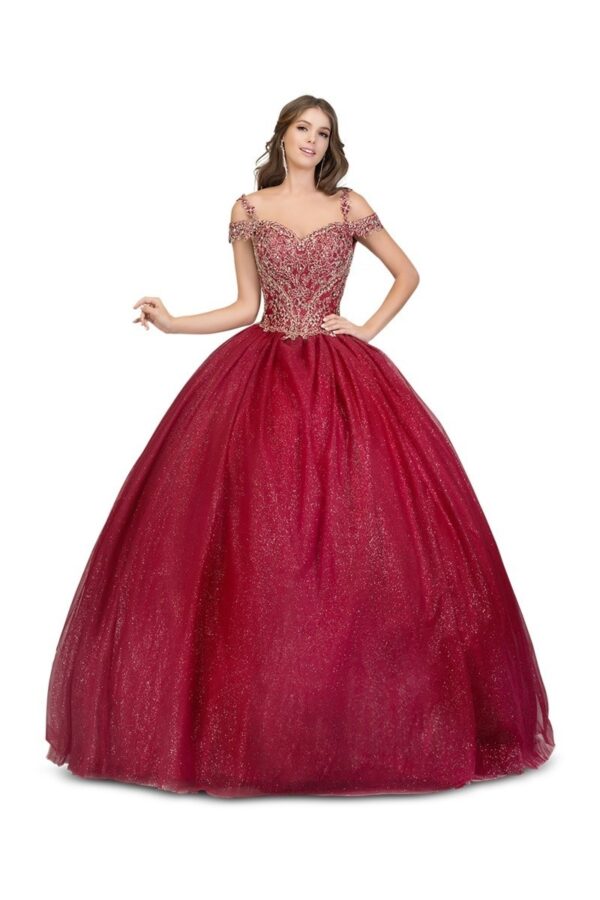 Quinceañera dress 8710