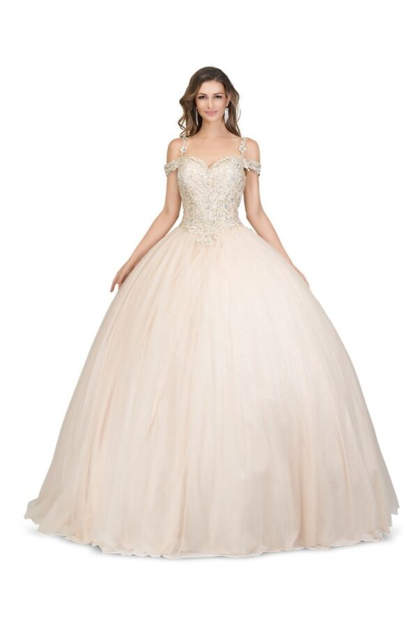 Quinceañera dress 8710