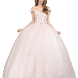 Quinceañera dress 8860