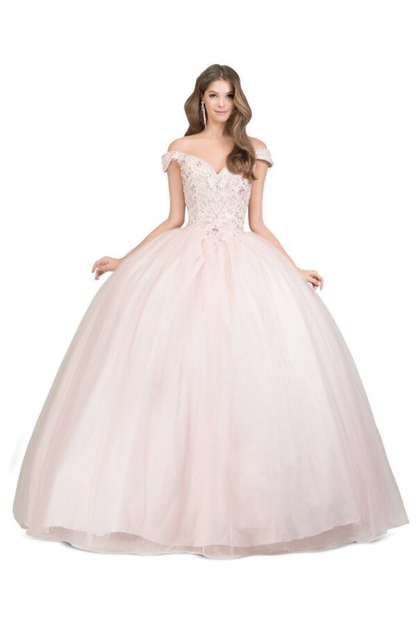 Quinceañera dress 8860