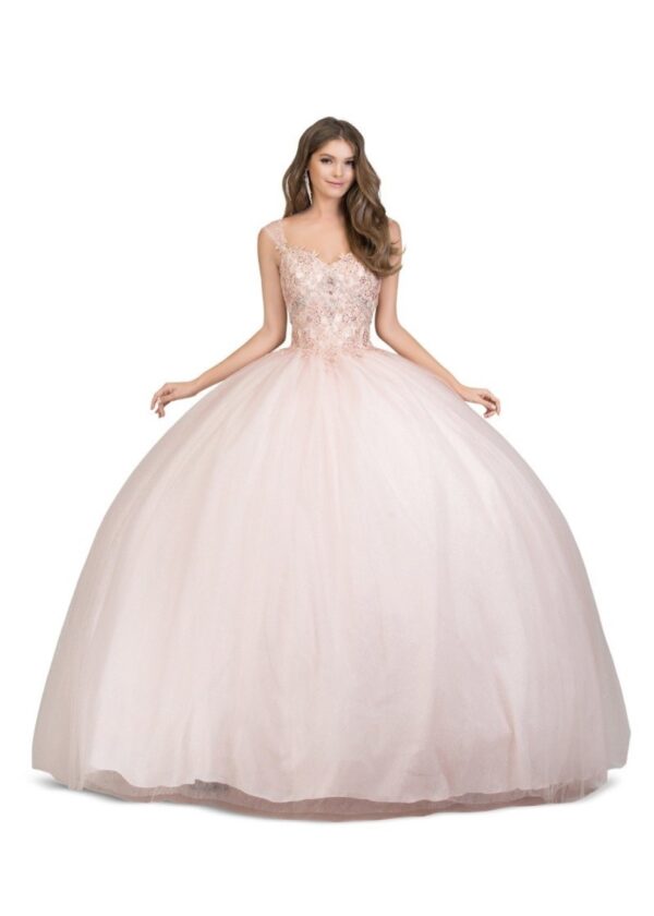 Quinceanera dress 8868 rp