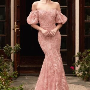 Prom dress 959B