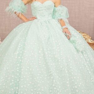 Quinceanera dress 654186