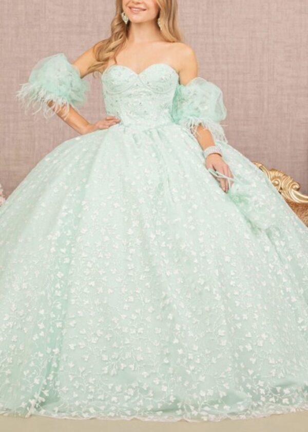 Quinceanera dress 654186