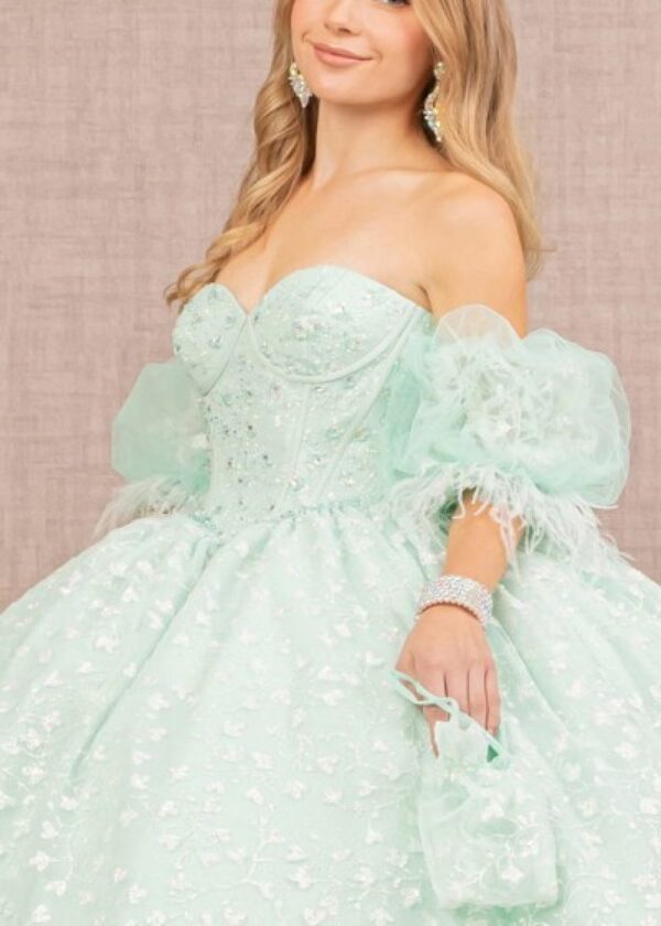 Quinceanera dress 654186