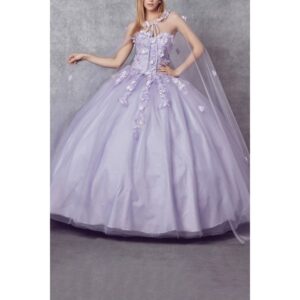 Vestido de quinceañera 6624-45