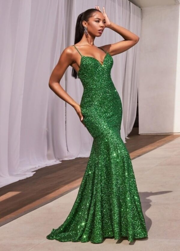 Prom dress 066